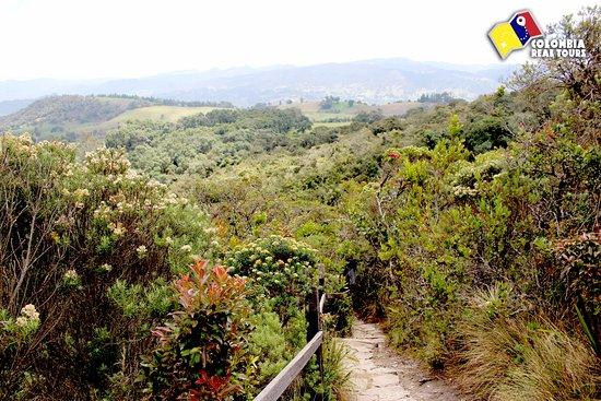 Colombia Real Tours